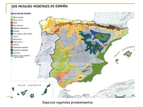 Los Paisajes Vegetales Españoles