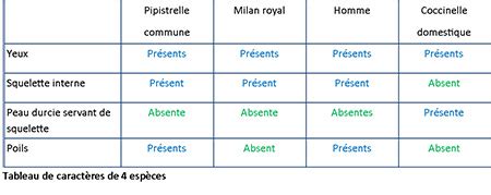 groupe emboité exercice