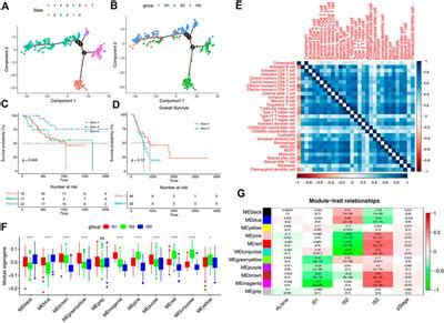 Frontiers Bioinformatics Analyses For The Identification Of Tumor