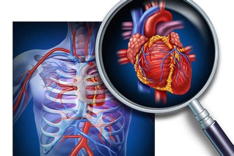 Doenças Cardiovasculares Sintomas causas e tratamento Tua Saúde