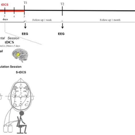 Transcranial Direct Current Stimulation Tdcs Experimental Protocol