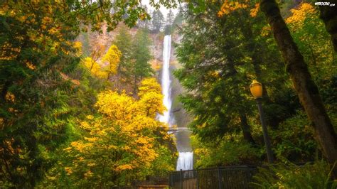 Wodospad Multnomah Falls Most Drzewa Latarnia Jesie Stan Oregon