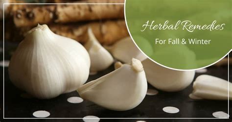 Herbal Remedies for Fall and Winter - Kami McBride