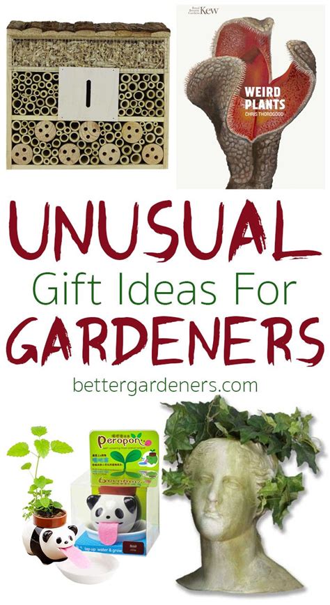 15 Unusual Ts For Gardeners Better Gardeners Guide Unusual