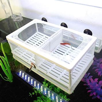 Amazon Senzeal Aquarium Fish Breeder Box Fish Fry Hatchery