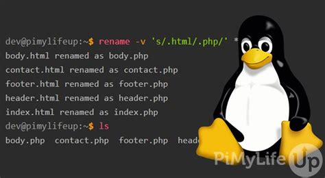 How To Change A Filename In Linux Pi My Life Up