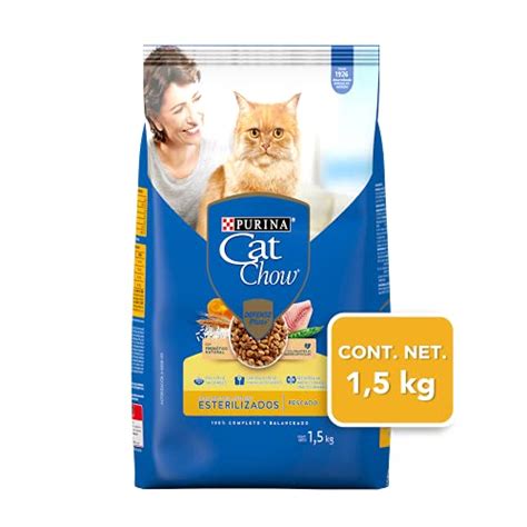 Los Mejores Modelos De Croquetas Para Gato