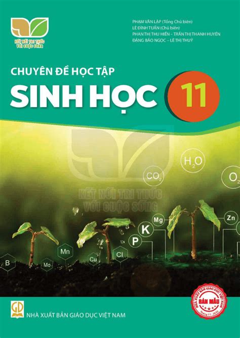 Chuyên đề Học Tập Tin Học 11 ThƯd Kết Nối Tri Thức Với Cuộc Sống