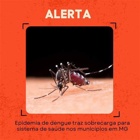 Epidemia De Dengue Traz Sobrecarga Para Sistema De Sa De Nos Munic Pios