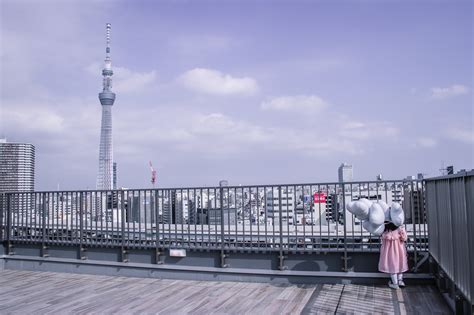 Fantastic Hotel in Asakusa with rooftop view of Tokyo Skytree - Tokyo ...