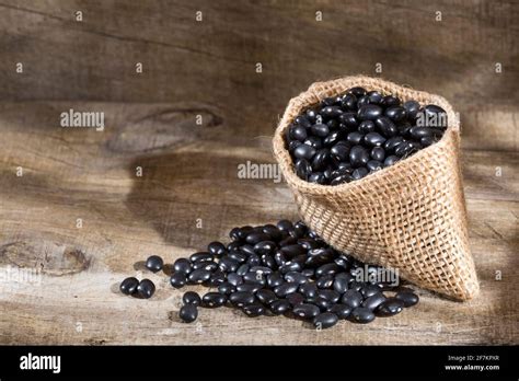 Raw Black Beans Top View Phaseolus Vulgaris Black Turtle Stock