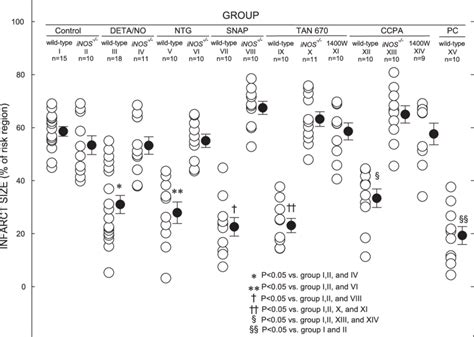 Myocardial Infarct Size In Groups I Xv Infarct Is Expressed As