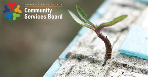 Fairfax Falls Church Community Services Board Community Services Board