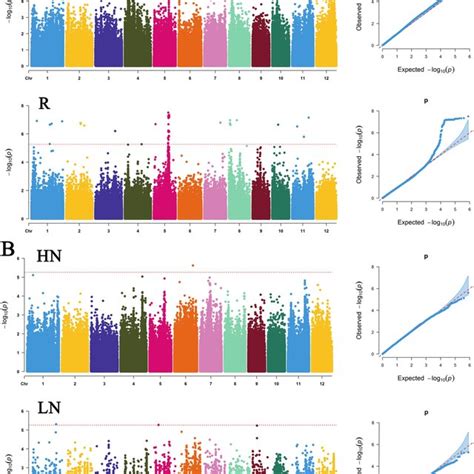 Manhattan Plots And Quantilequantile Qq Plots Of Root Morphology Download Scientific