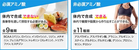 アミノ酸の種類と働き｜xs™ ブランドサイト