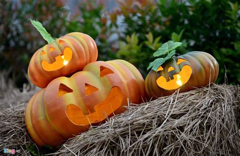 Những Quả Bí Ngô Halloween Đẹp Nhất Độc Đáo - Otakul