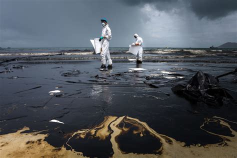 La Pollution Des Oc Ans D Finition Causes Et Solutions Floralia Nature