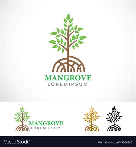 Mangrove trees logo design template Royalty Free Vector