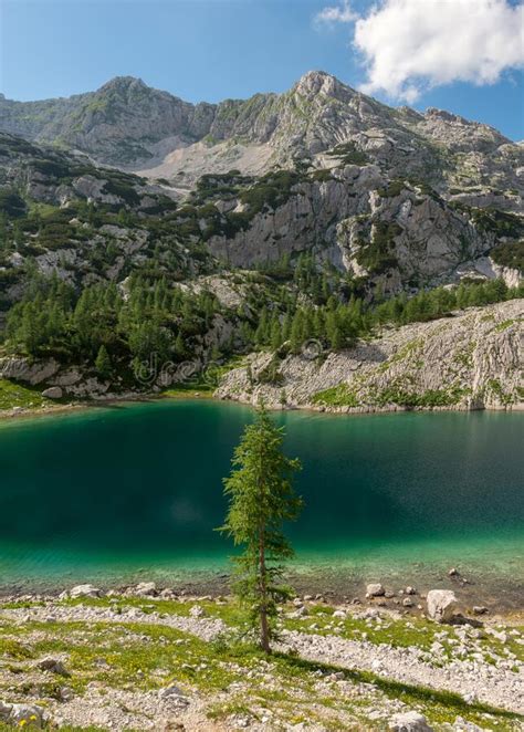 Un Paseo Por El Valle De Los Siete Lagos Foto De Archivo Imagen De