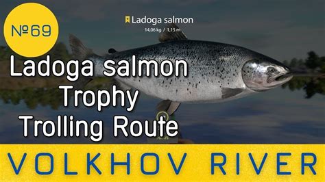 Russian Fishing 4 Volkhov River Ladoga Salmon Trophy 69 Youtube