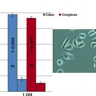 In ( A ) optical transfection efficiency data of CHO-K1 cells ...