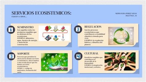 Tipos De Servicios Ecosistemicos