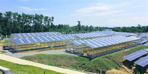 Frameless Panel Indoor Farming Dynamic Photovoltaic Greenhouse