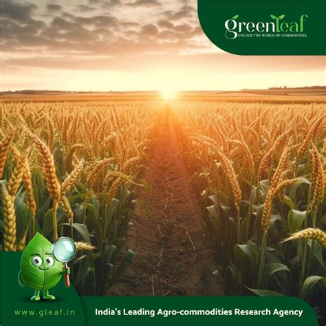 Sac County is recognised for ‘A’-rated corn stover biomass
