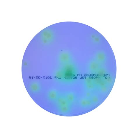 Pseudomonas Selective Cfc Agar Mm Pre Poured Plate Sgl