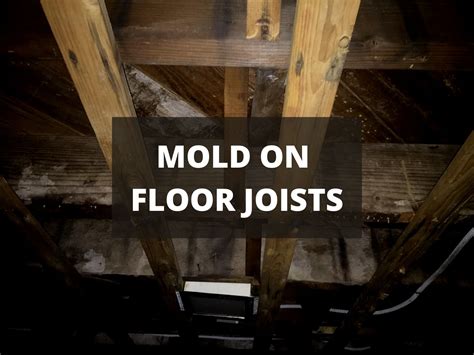 How To Get Rid Of Mold In Basement Floor Clsa Flooring Guide