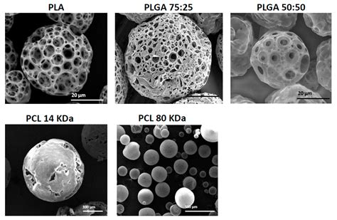 Polymers Free Full Text Microfluidic Based Fabrication And