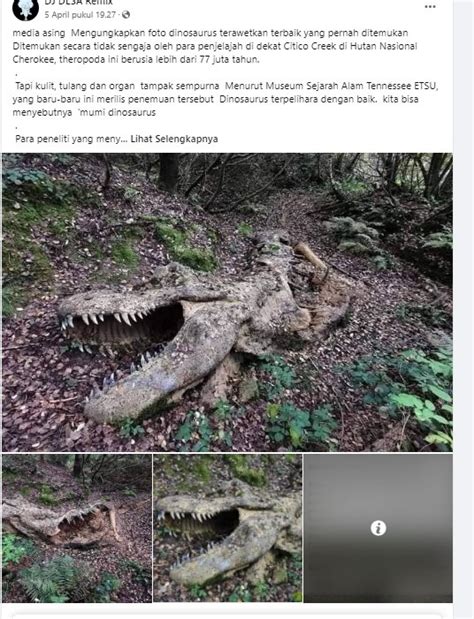 Cek Fakta Hoaks Mumi Dinosaurus Appalachiosaurus Ditemukan Di