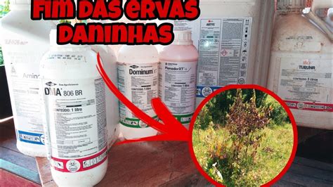 Os Herbicidas Mais Eficientes Para O Controle De Ervas Daninhas Da