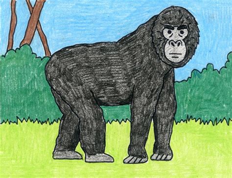 Easy How To Draw A Gorilla Tutorial And Gorilla Coloring Page