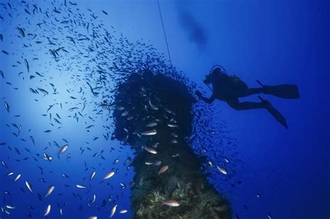 Dive Sites Dive Loft Krk Diving Center On Krk Island In Croatia