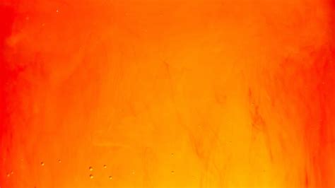Exhibitions — Schack Art Center