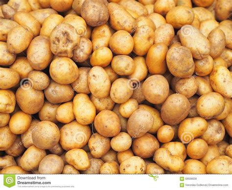 Pile Of Small Potatoes Stock Image Image Of Natural 59506639