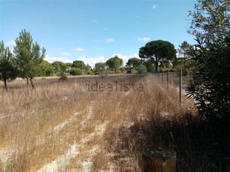 Terreno à venda em Alcácer do Sal e Santa Susana Alcácer do Sal