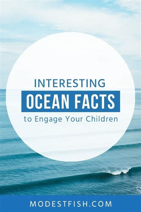 Ocean Facts For Kids: Fun & Engaging Guide To Understanding The Sea