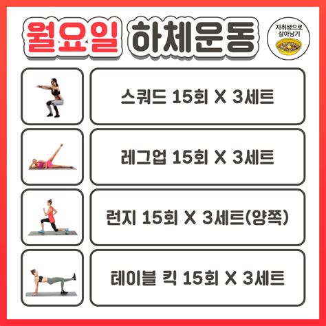 추석 연휴에 하기 좋은 일주일 맨몸운동 루틴 자취생으로 살아남기