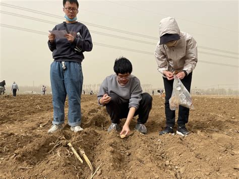 中国农业大学上庄实验站 新闻资讯 【师生动态】我校小麦研究中心师生来站开展小麦试验材料播种工作