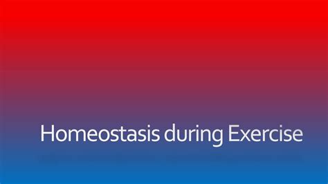 Homeostasis During Exercise Ppt Download