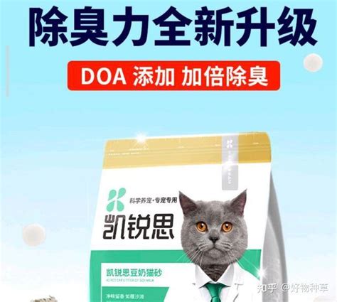 十大最佳猫砂：猫砂什么牌子最好用？ - 知乎