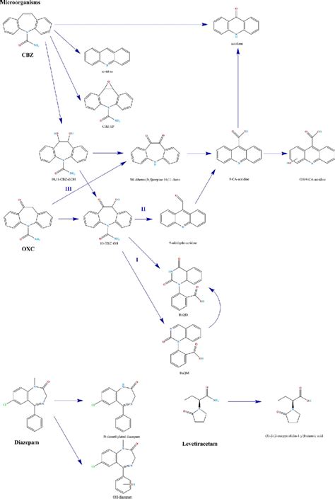 Transformation Pathways Of Carbamazepine Cbz Oxcarbazepine Oxc