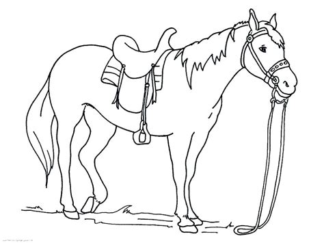 Quarter Horse Coloring Pages at GetColorings.com | Free printable ...