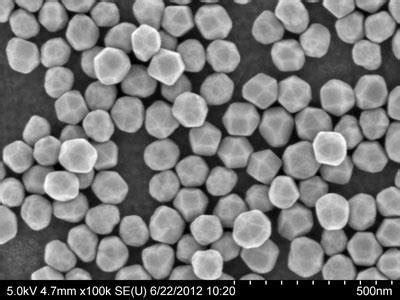 SEM Micrograph Of Standard Gold Nanoparticles Source Cytodiagnostic