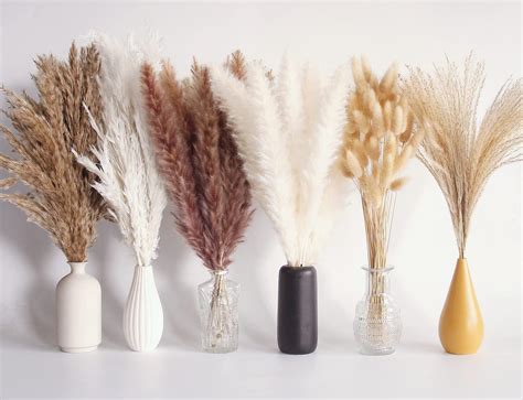 Amazon Inch Stems Natural Pampas Grass Decor Tall Pompas