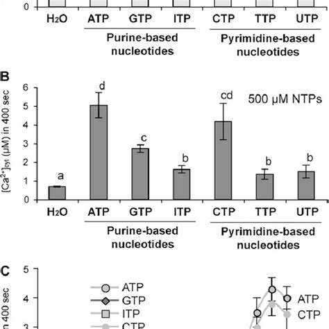 Ntps Increase Bioluminescence In Aequorin Expressing Transgenic