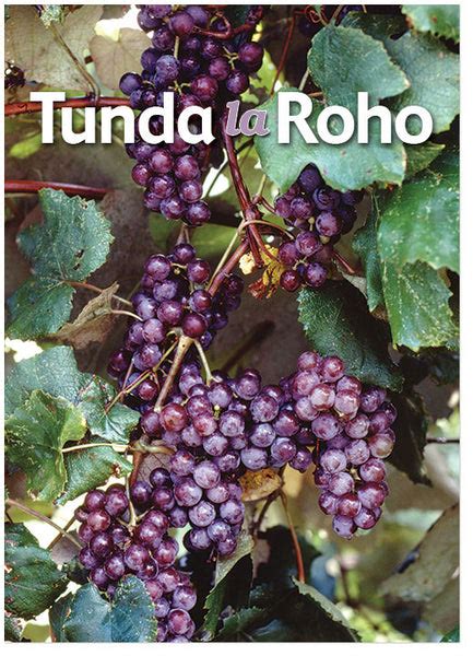 Fruit of the Spirit (Swahili): Tunda la Roho – Moments With The Book