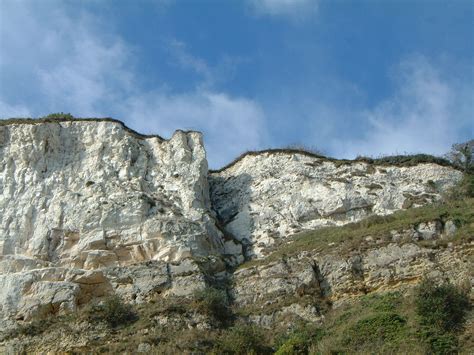 Uk Fossil Collecting